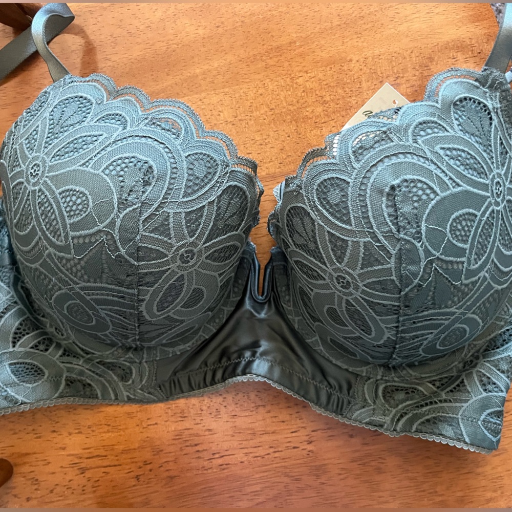 aerie plunge push up bra 38D never worn with tags attached